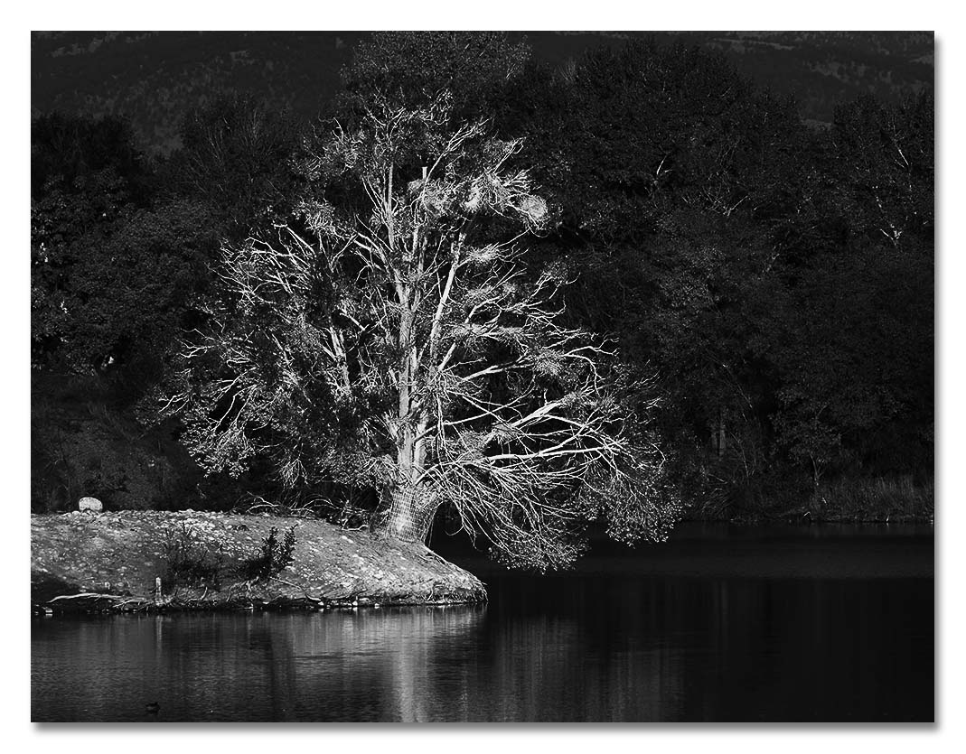 Along Clear Creek, Colorado